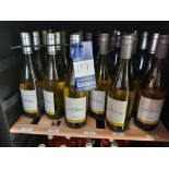 20x Saint Hilaire Viognier & 7x Saint Hilaire Vermentino