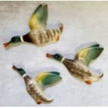 A graduating set of 1960's flying ducks, by Keele Street Pottery, England. Excellent condition.