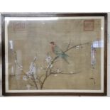 After Emperor Huizong of Song (1082-1135) 'Parakeet perched on an apricot tree', framed 52cm x 69cm