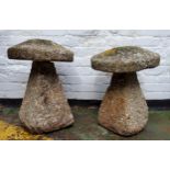 WITHDRAWN - Two Spanish staddle stones, coastal gritstone with fossil inclusions