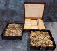 A quantity of B.C.L. Fancy Shape Crystals - Highest Grade Perpex, in original pine storage box