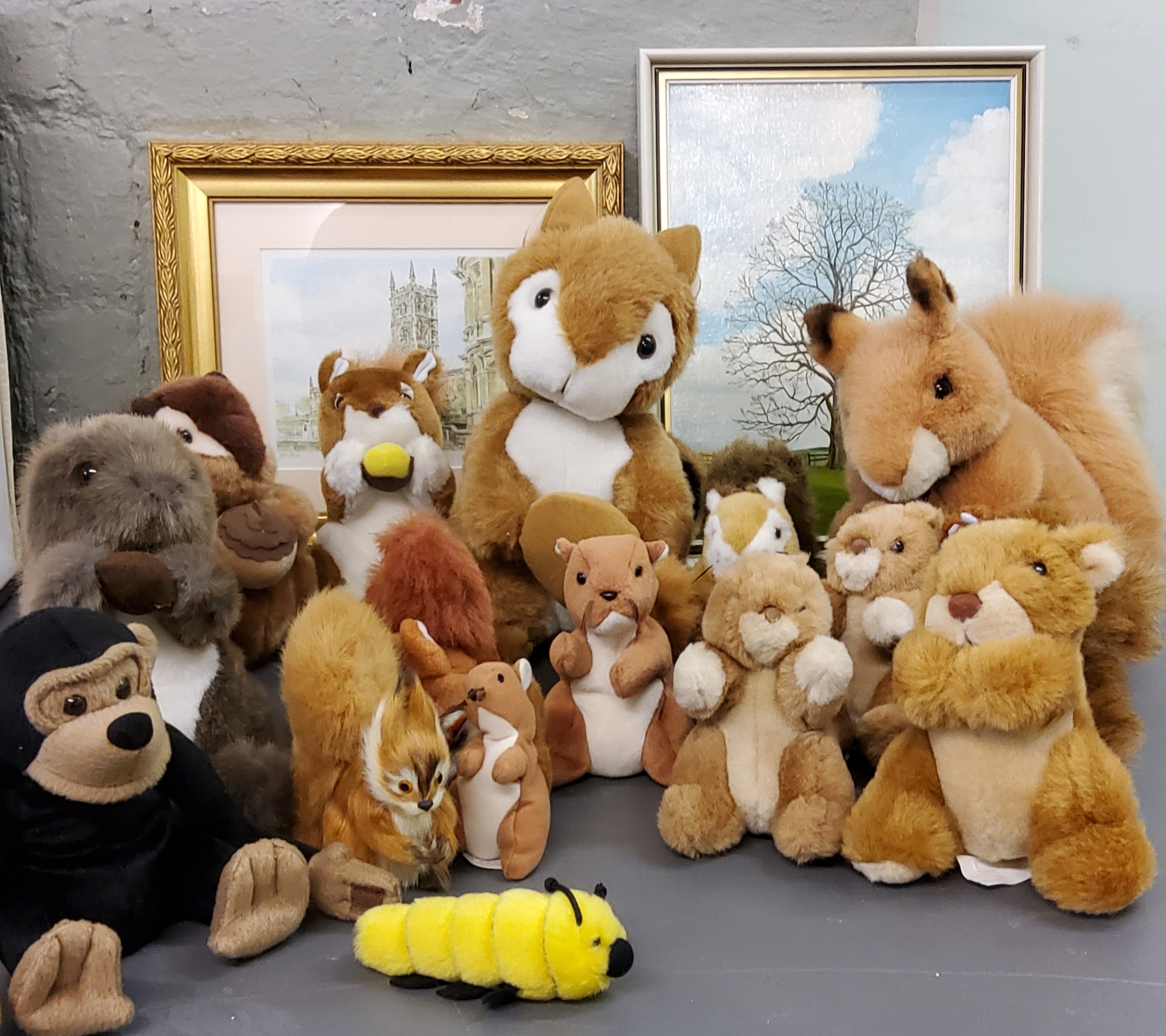 Toys - Beanie Baby squirrel;  other soft squirrels;  pictures;  etc