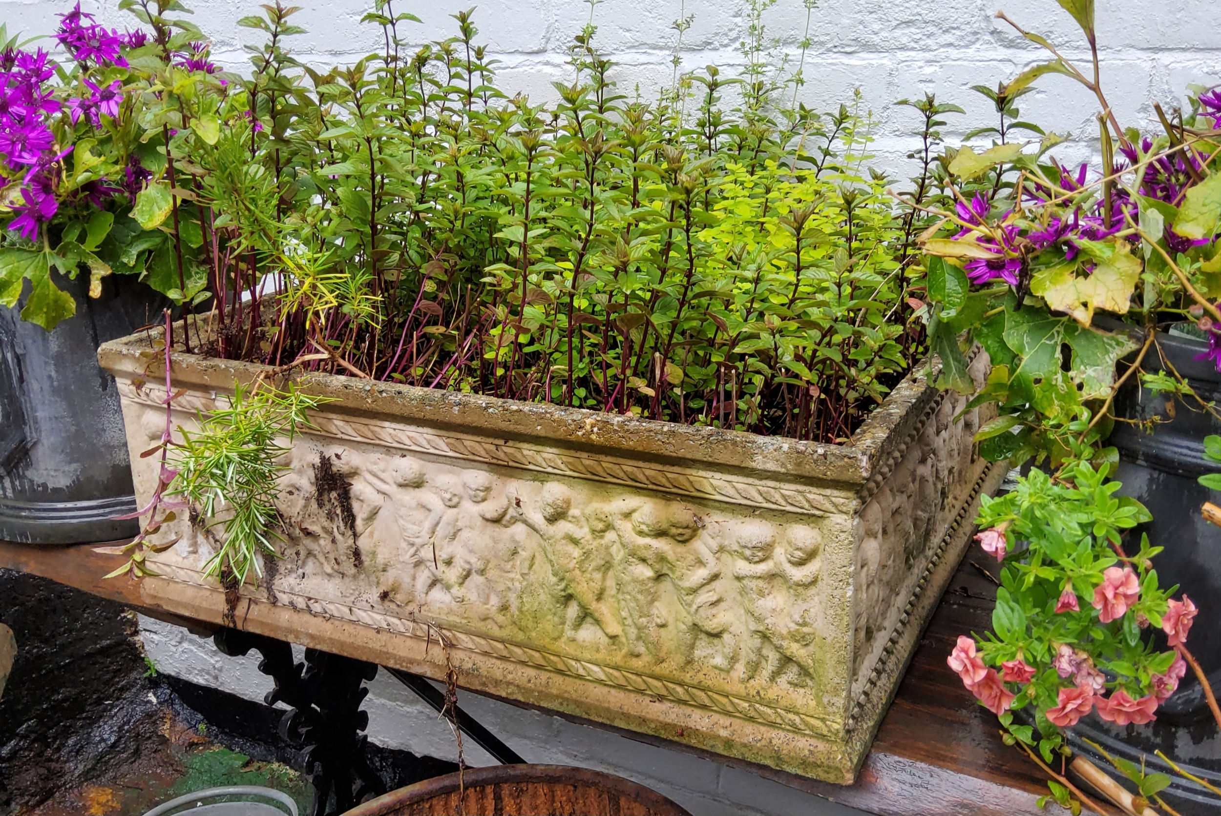 A large square reconstituted stone planter, decorated in relief with putti figures, with herbs - Image 2 of 2