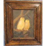 G Grriffith, 20th century, Two Owls, in a tree, signed,  22cm x 16cm