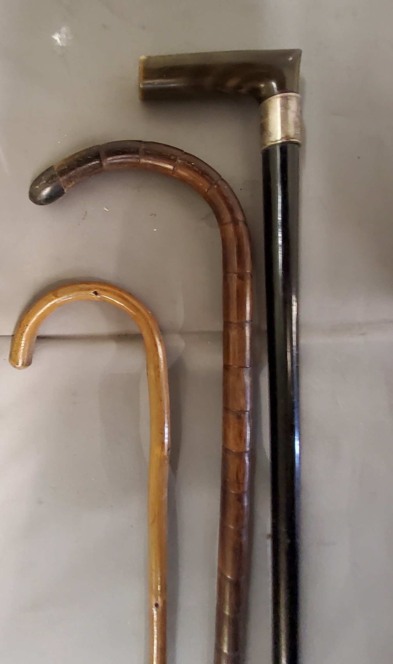 An ebonised walking stick, horn handle, silver collar, Chester 1901;  an early 20th century bamboo