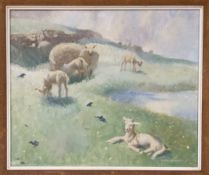 David Buchanan, Springtime Lambs, signed, oil on canvas, 50.5cm x 60.5cm