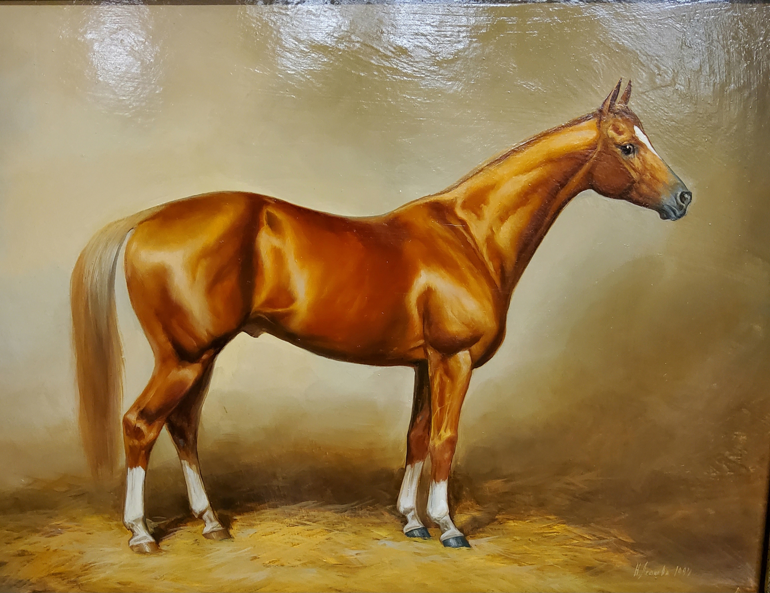 Natalie V. Leonova (Russian School) Thoroughbred Horse Conformation Study  Oil on panel, dated 1997, - Image 3 of 3