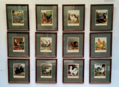 An impressive set of twelve Victorian farmhouse kitchen chromolithography poultry related framed
