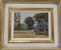 Terry Ward, Horses in the Paddock, signed, oil on board, 15cm x 20cm