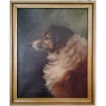 Laura Shaw (English School) Rough Collie Dog Portrait  Framed oil on canvas, dated 1903 55cm x 46cm