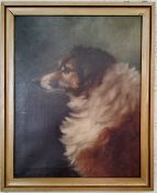 Laura Shaw (English School) Rough Collie Dog Portrait  Framed oil on canvas, dated 1903 55cm x 46cm