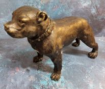 A bronzed spelter model of a Staffordshire Bull Terrier, 20cms high