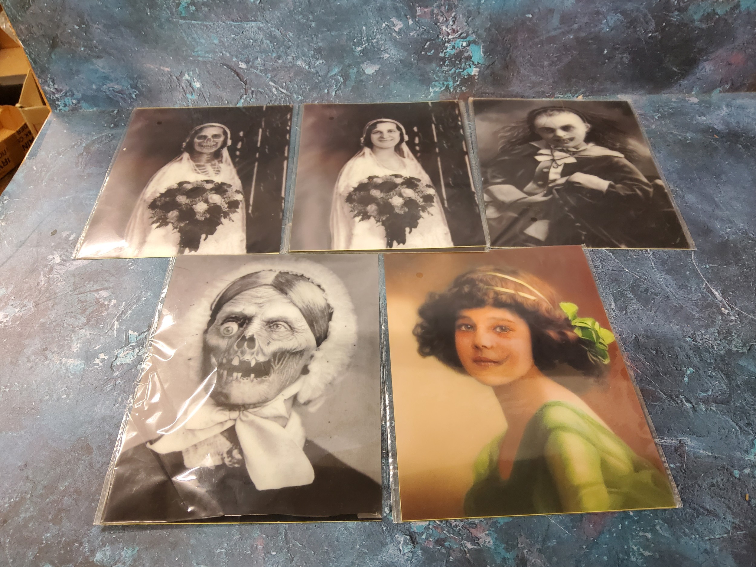 Six Victorian style Halloween images, each in black and white, the image changing from beauty to - Image 2 of 2