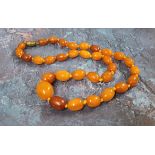 A string of graduated butterscotch amber beads, 50cms, 30.44g gross