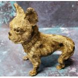 An early 20th century cold painted bronze model of  a French Bulldog, 8cm high, c.1920