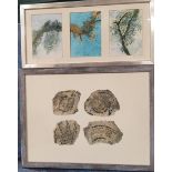 Anthea Armitage (Contemporary) Lichen, Verdigris Study signed, watercoloiur with multi-medium,