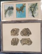 Anthea Armitage (Contemporary) Lichen, Verdigris Study signed, watercoloiur with multi-medium,