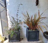 A pair of Kew Botanic Gardens faux lead square form planters with plants