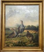 Scottish School (19th Century) Partridges In The Open  Oil on canvas, framed,  monogrammed to