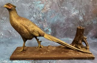 An Austrian 20th century cold painted spelter novelty table lighter, as a pheasant, rectangular