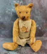 An early 20th century mohair jointed bear, hump to back, long muzzle, horizontal snout, felt pads,