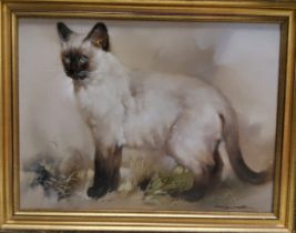 Modern British School, Siamese Cat, indistinctly signed, oil on canvas, 36cm x 48.5cm