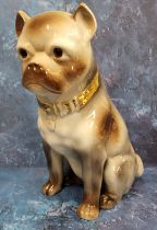 A large Victorian Staffordshire pug dog, gilt collar, 34cm high, c.1870