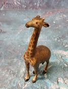 An Austrian cold painted bronze model, of a giraffe, 8.5cm high