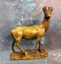 English School, 19th century, a gilt bronze, deer standing, 19cm high