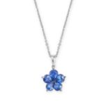 A SAPPHIRE CLUSTER PENDANT AND CHAIN in 18ct white gold, the pendant set with five pear cut sapph...