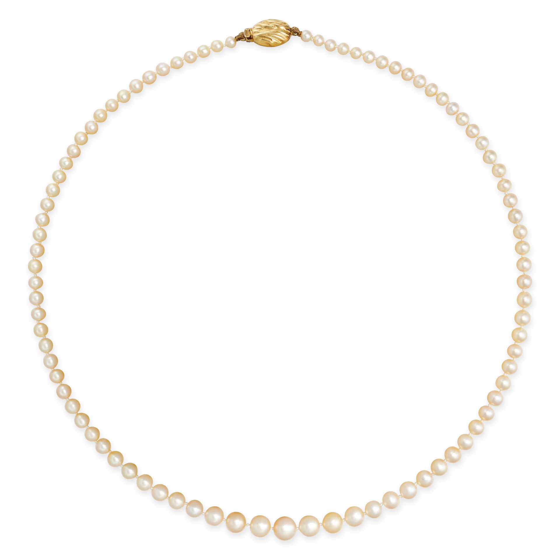 A NATURAL SALTWATER PEARL NECKLACE in 9ct yellow gold, comprising a single row of graduated pearl...