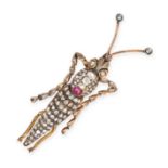 AN ANTIQUE DIAMOND AND RUBY CRICKET BROOCH in yellow gold, set throughout with rose and old cut d...