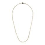 A DIAMOND AND PEARL NECKLACE in yellow gold and silver, comprising a single row of pearls, the an...