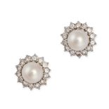 NO RESERVE - A PAIR OF PEARL AND DIAMOND CLUSTER EARRINGS in white gold, each set with a pearl of...