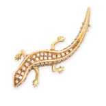 NO RESERVE - A DIAMOND SALAMANDER BROOCH / PENDANT in 18ct yellow gold, designed as a salamander,...
