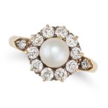 AN ANTIQUE NATURAL PEARL AND DIAMOND CLUSTER RING in 18ct yellow gold, set with a pearl of 6.5mm ...