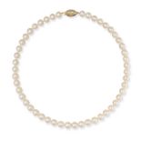 NO RESERVE - A PEARL NECKLACE in silver gilt, comprising a single row of pearls, stamped 925, 41....