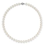 NO RESERVE - A PEARL NECKLACE in silver, comprising a single row of pearls, stamped 925, 44.0cm, ...