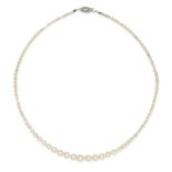 A NATURAL SALTWATER PEARL AND DIAMOND NECKLACE in white gold, comprising a row of graduating pear...
