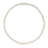 A FINE NATURAL SALTWATER PEARL AND DIAMOND NECKLACE in yellow gold and silver, comprising a row o...