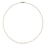A NATURAL SALTWATER PEARL AND DIAMOND NECKLACE in yellow gold, comprising a single row of natural...