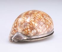 AN 18TH CENTURY SILVER-MOUNTED COWRIE SHELL SNUFF BOX