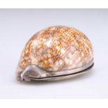 AN 18TH CENTURY SILVER-MOUNTED COWRIE SHELL SNUFF BOX