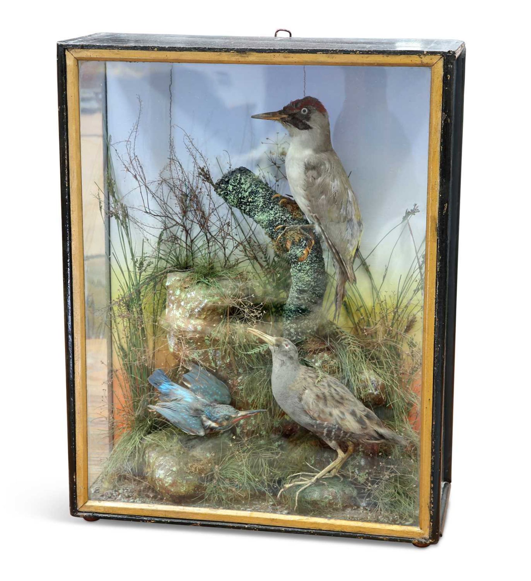 TAXIDERMY: A LATE VICTORIAN CASED DIORAMA OF BRITISH BIRDS, BY THOMAS JEFFERIES OF CARMARTHEN