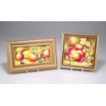 TWO ROYAL WORCESTER STYLE FRUIT PAINTED PLAQUES