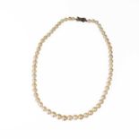 A CULTURED PEARL NECKLACE