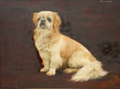 FRANCES MABEL HOLLAMS (1877-1963) PUSHKIN, PORTRAIT OF A DOG