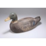 A CARVED AND PAINTED WOODEN DECOY DUCK, 19TH/20TH CENTURY