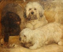 WALTER HARROWING (1838-1913) TWO TERRIERS AND A SPANIEL