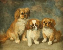 HENDRIK MAARTEN KRABBÉ (DUTCH, 1868-1931) PORTRAIT OF A DOG AND HER PUPPIES